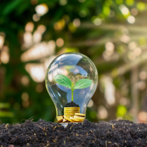 Energy Wiz company profile image four