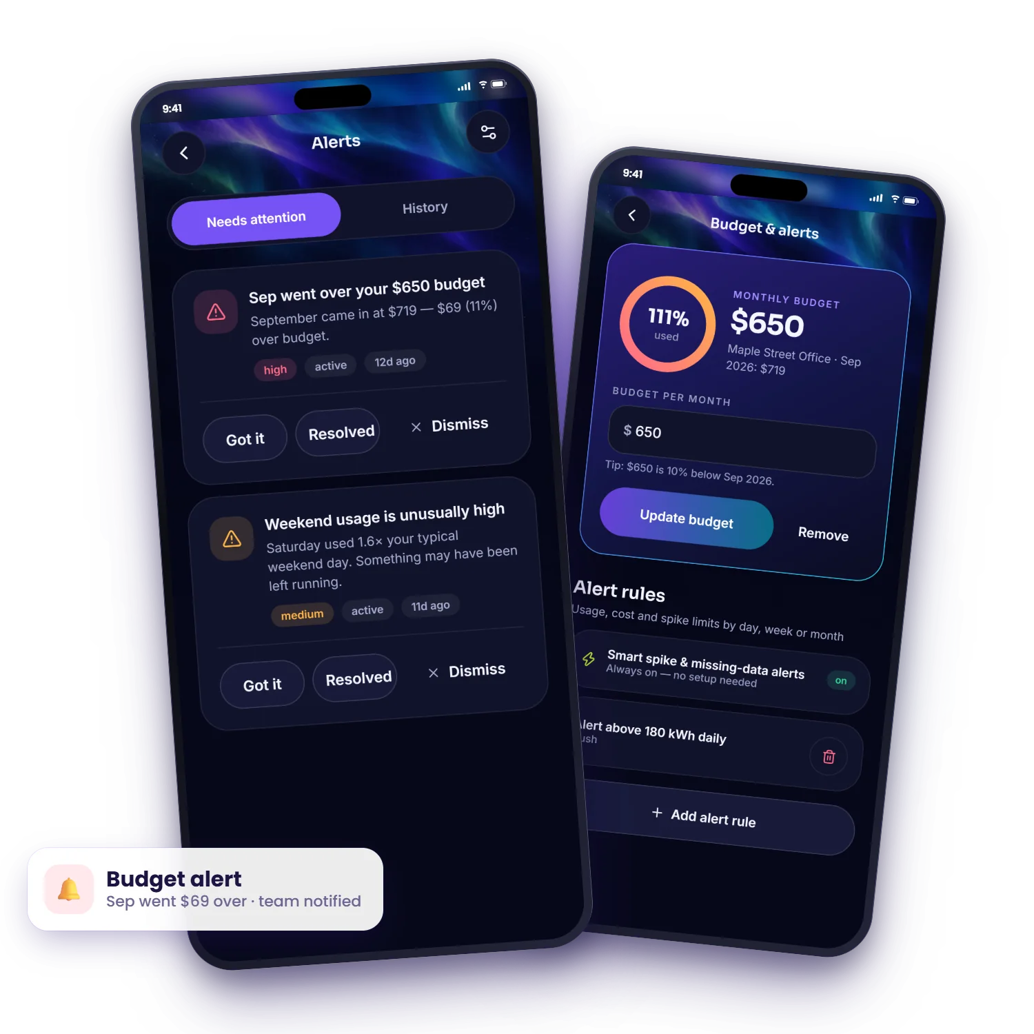 Energy Wiz alerts and budget rules screens